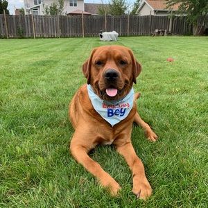 Meet your Posher, Kaitlin